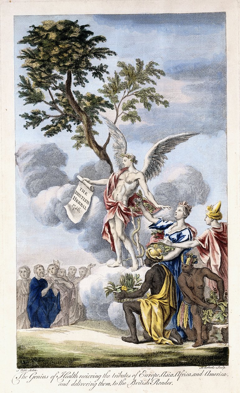 Terveyden nero vastaanottaa Euroopan, Aasian, Afrikan ja Amerikan ja toimittaa ne brittiläiselle lukijalle, 1756-1757 tekijältä English School
