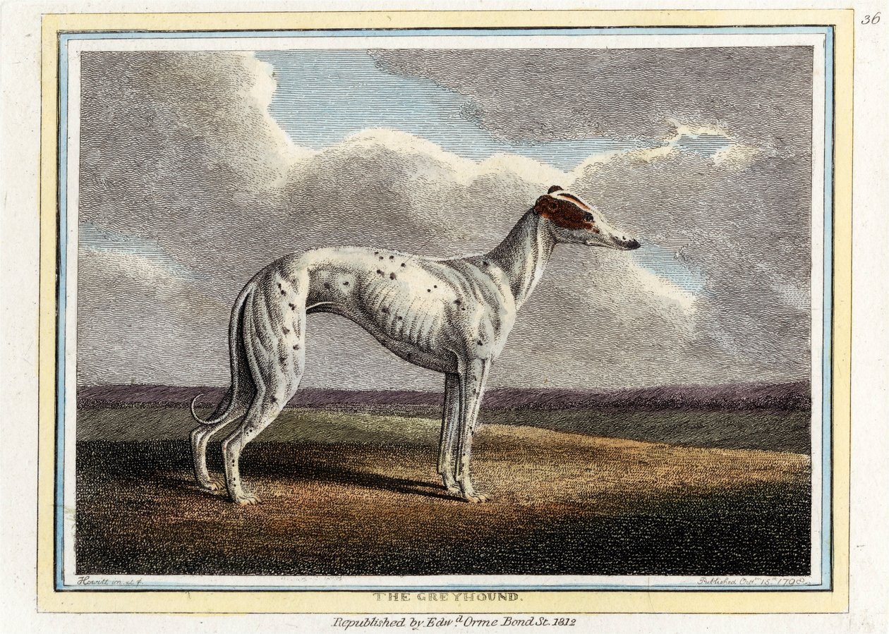Greyhound, pubi. 1812. tekijältä English School