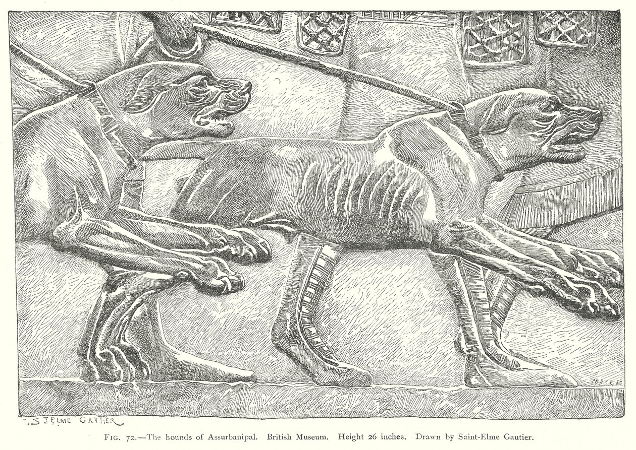 Assurbanipalin koirat. British Museum (kaiverrus) tekijältä English School
