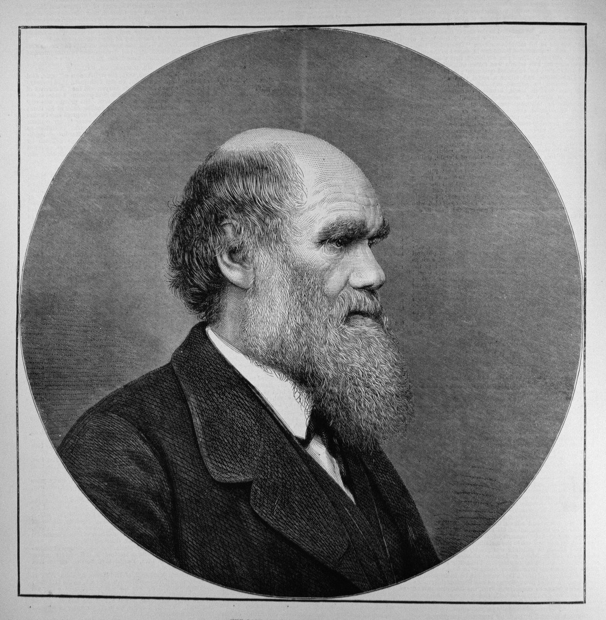 Edesmennyt herra C. R. Darwin, FRS, LLD, The Illustrated London News, 29. huhtikuuta 1882 tekijältä English School