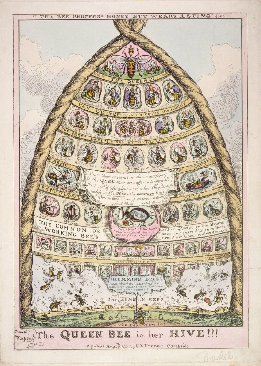 "The Queen Bee in her Hive", allegoria brittiläisestä sosiaalisesta hierarkiasta, julkaisija G.S. Tregear tekijältä English School