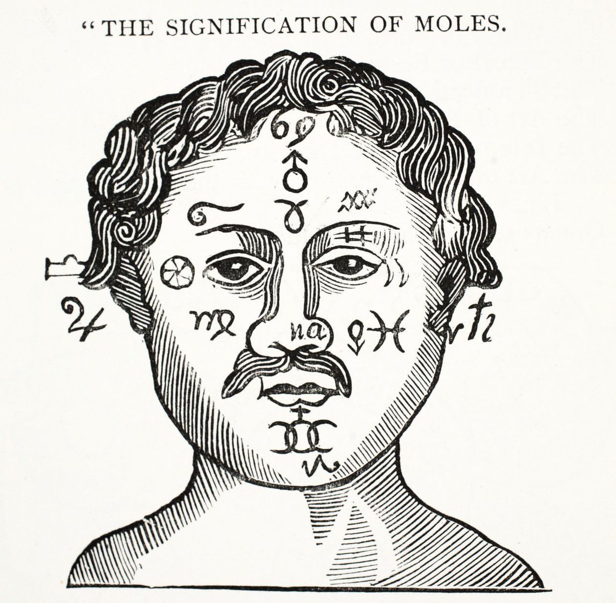 The Signification of Moles, kuvitus John Ashtonin kirjasta Chap-books of the Eightenth Century, pub. 1882 tekijältä English School