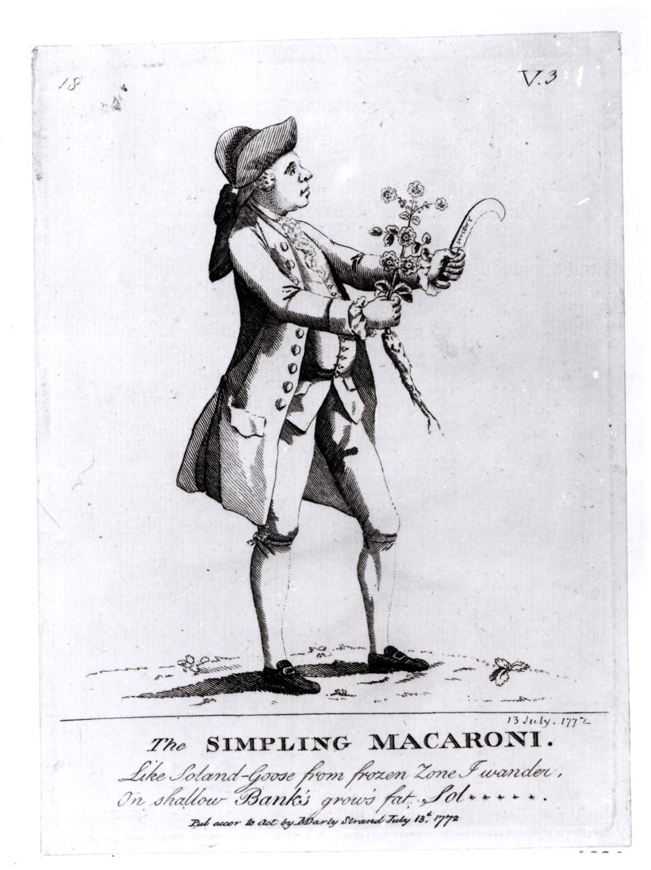 Simpling Macaroni, pubi. kirjoittanut N. Darly, 13. heinäkuuta 1772 (kaiverrus) (bw-valokuva) tekijältä English School