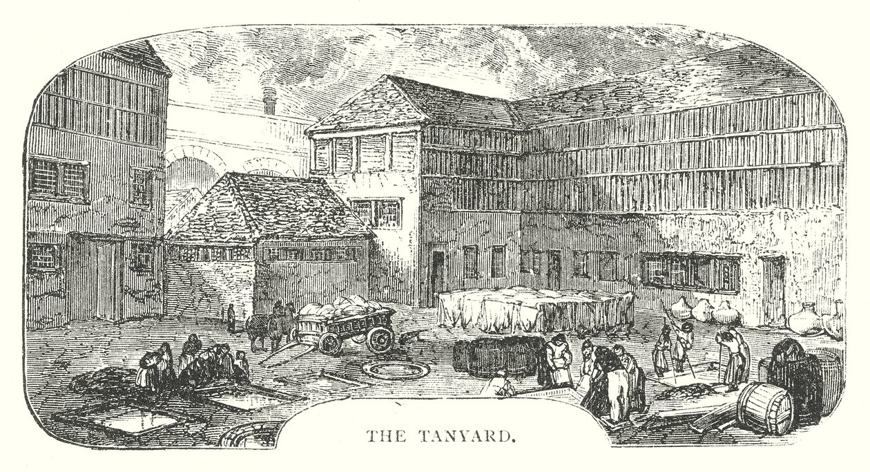 Tanyard (kaiverrus) tekijältä English School