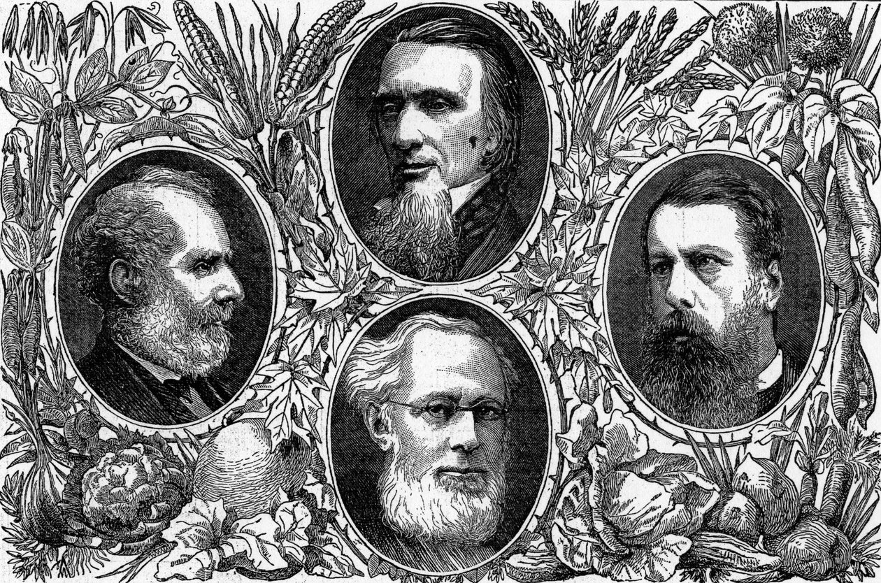 Kasvissyöjäjärjestelmä - Jotkut kasvissyöjäseuran johtavista jäsenistä, julkaistu The Graphicissa, 1874 tekijältä English School