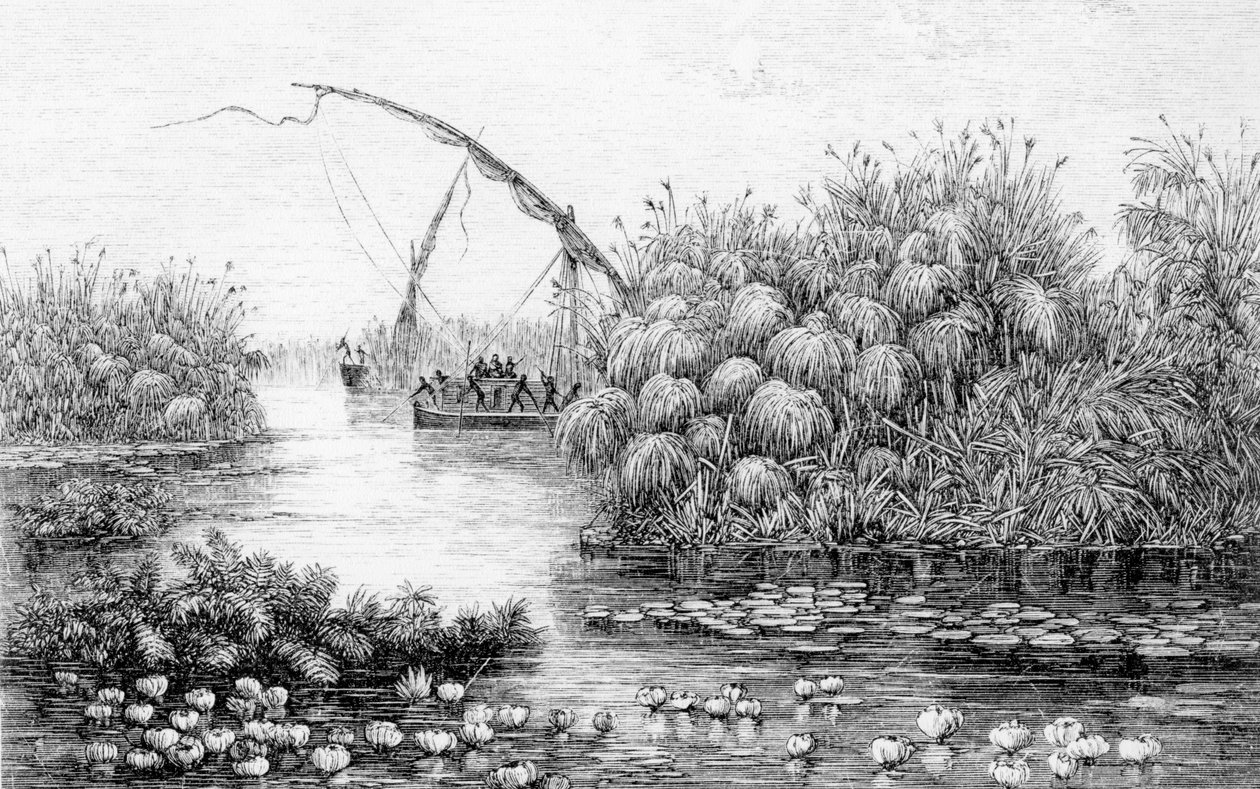 Alukset ruohovalossa, teoksesta "Afrikan sydän, kolmen vuoden matkat ja seikkailut Keski-Afrikan tutkimattomilla alueilla, 1868–1871", kirjoittanut Georg August Schweinfurth tekijältä English School