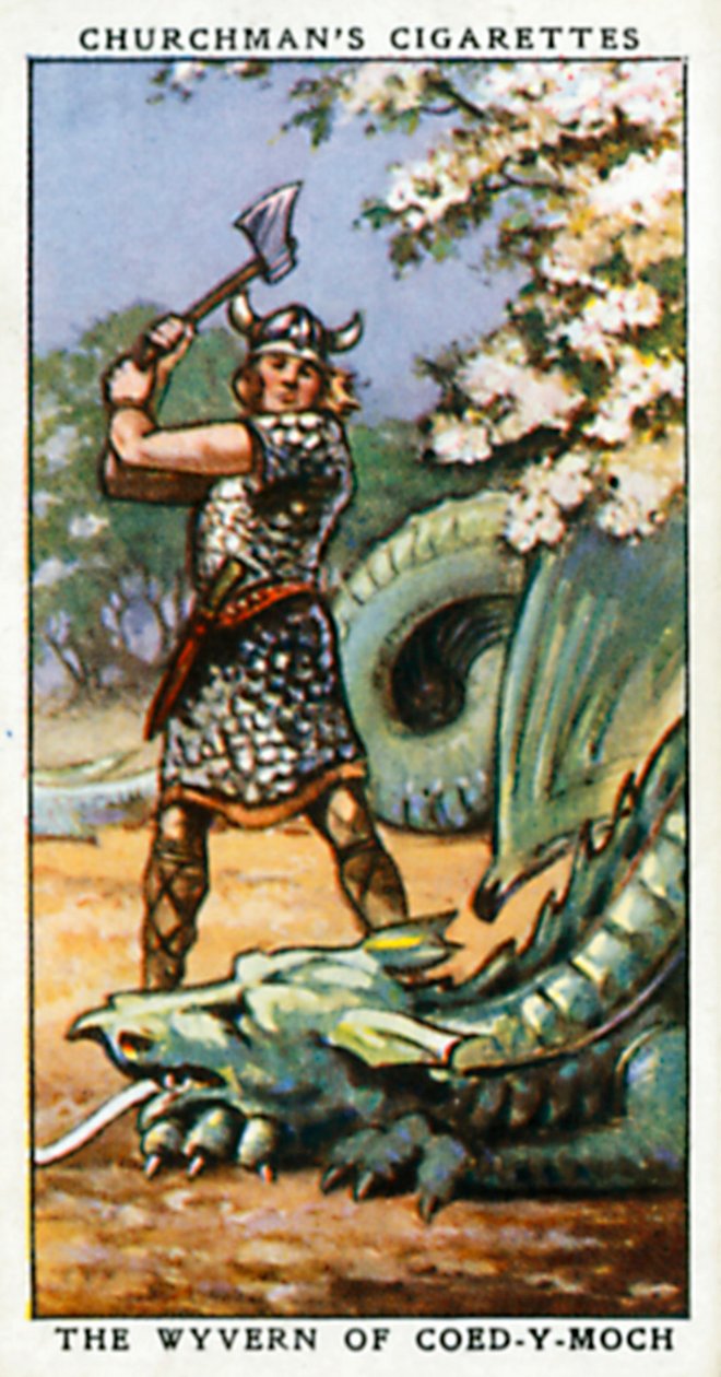 The Wyvern of Coed-Y-Moch (värilitro) tekijältä English School