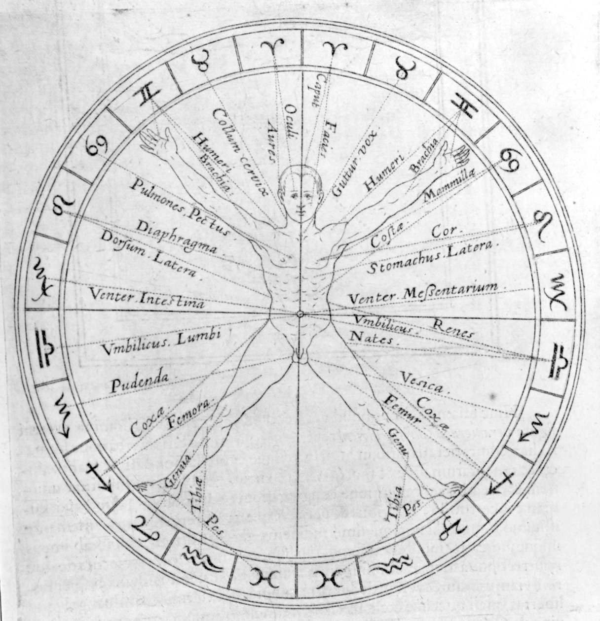 Tiede horoskooppien valamisesta, Robert Fluddin Utriusque Cosmi Historiasta, painos julkaistiin vuonna 1618 tekijältä English School