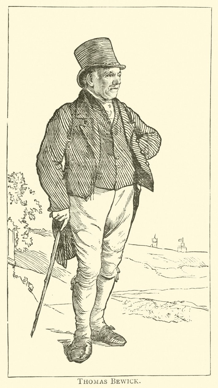 Thomas Bewick (kaiverrus) tekijältä English School