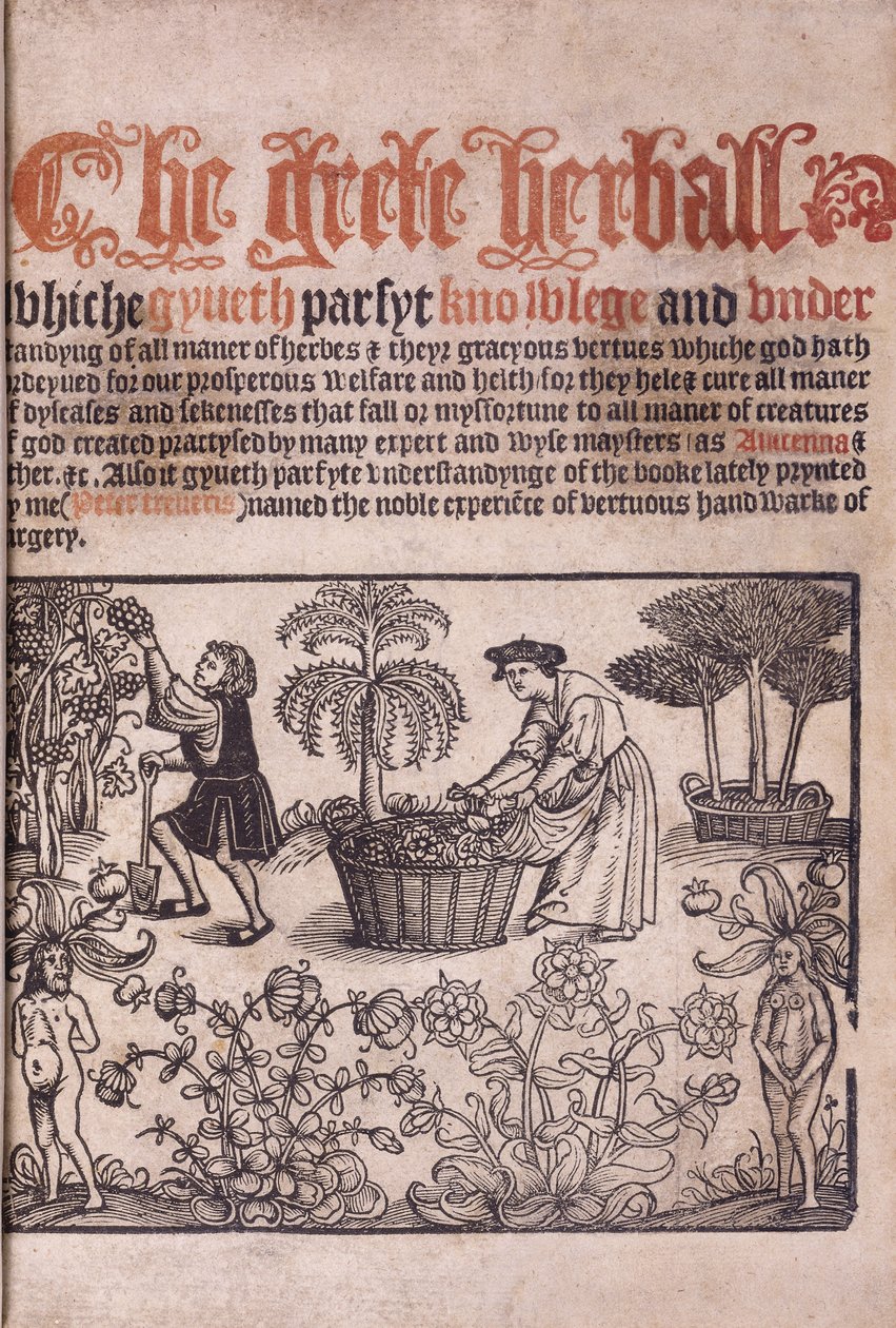 Otsikkosivu, joka havainnollistaa puutarhanäkymää hahmoineen, 1529 tekijältä English School