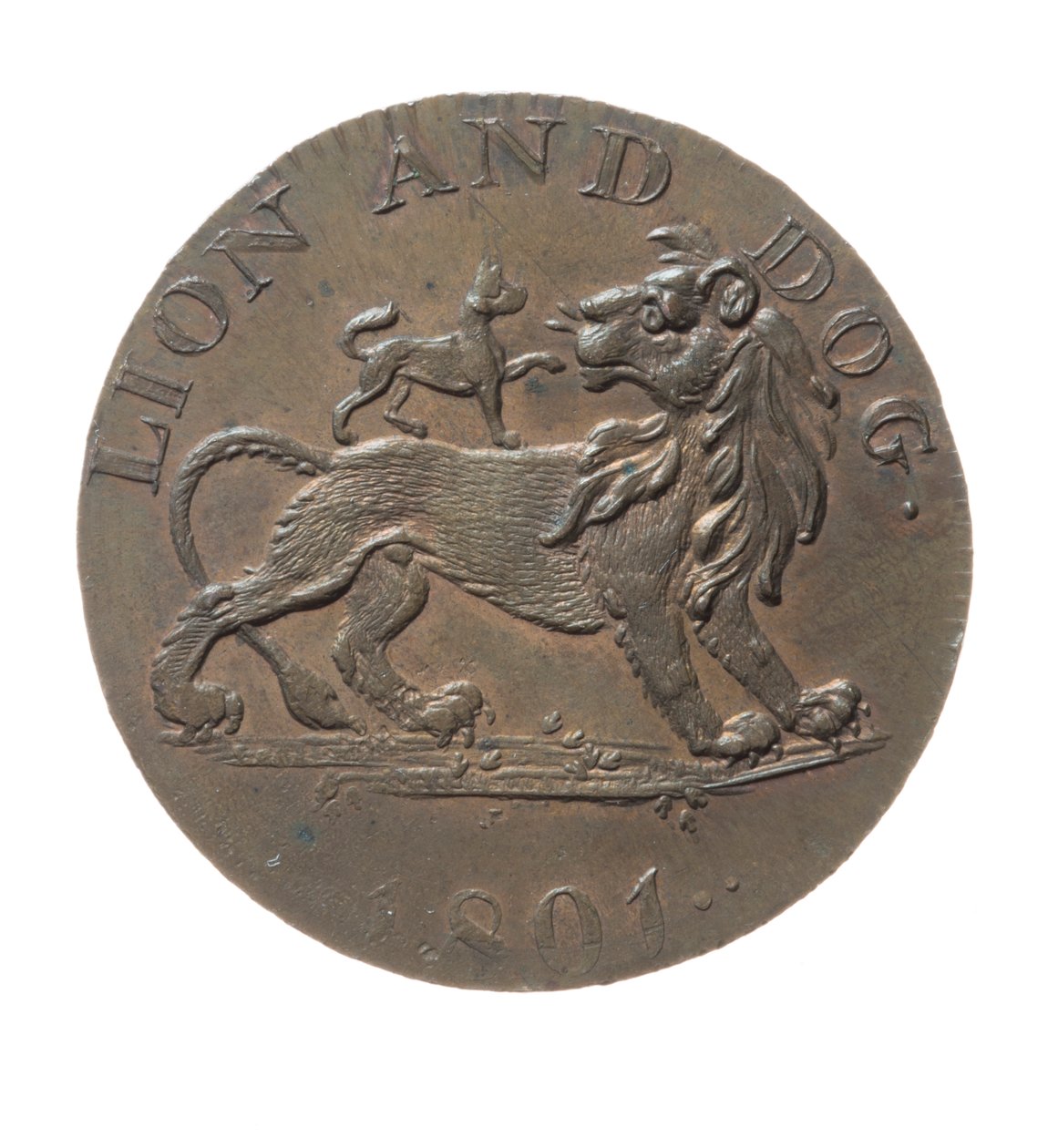 Token Pidcock