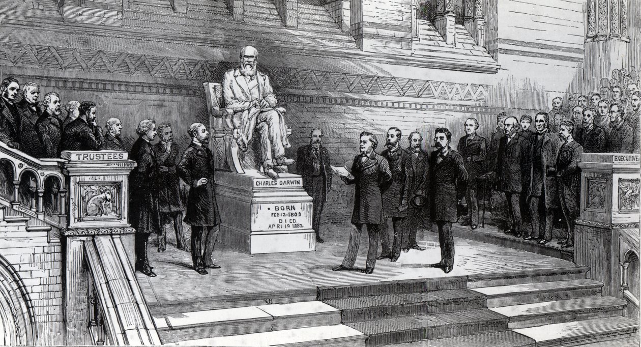 Edesmenneen Charles Darwinin patsaan paljastaminen Natural History Museumissa, South Kensingtonissa, 9. kesäkuuta 1885 tekijältä English School