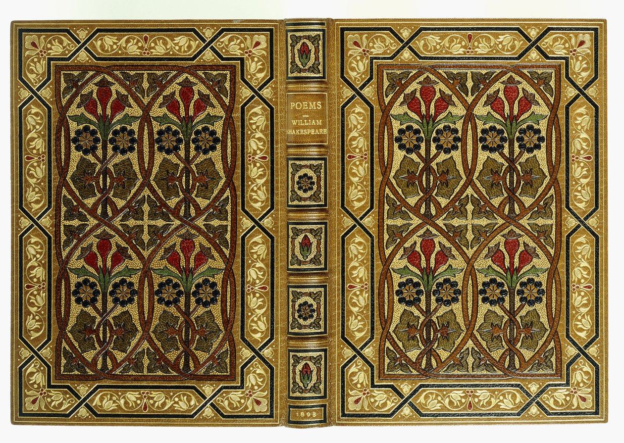 Ylä- ja alakannet, kukkia jugend-lometuilla geometrisilla kuvioilla, 1893 tekijältä English School