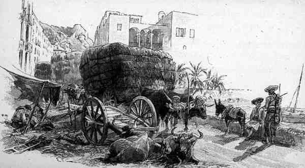 Wagons with Esparto Grass, Almeria, Espanja, The Picturesque Mediterranean, Volume 3, julkaisija Cassell and Co. Ltd. tekijältä English School
