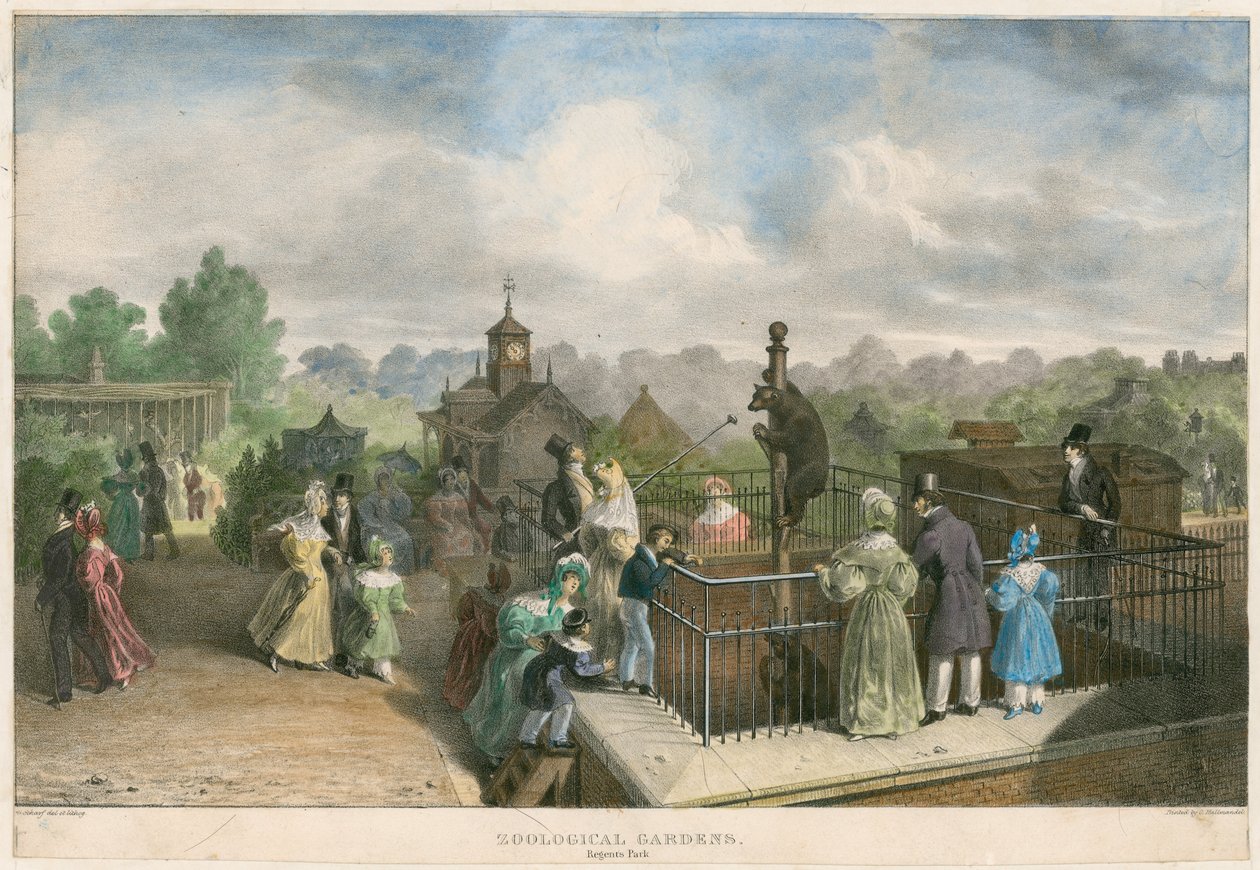 Eläintieteellinen puutarha, Regent