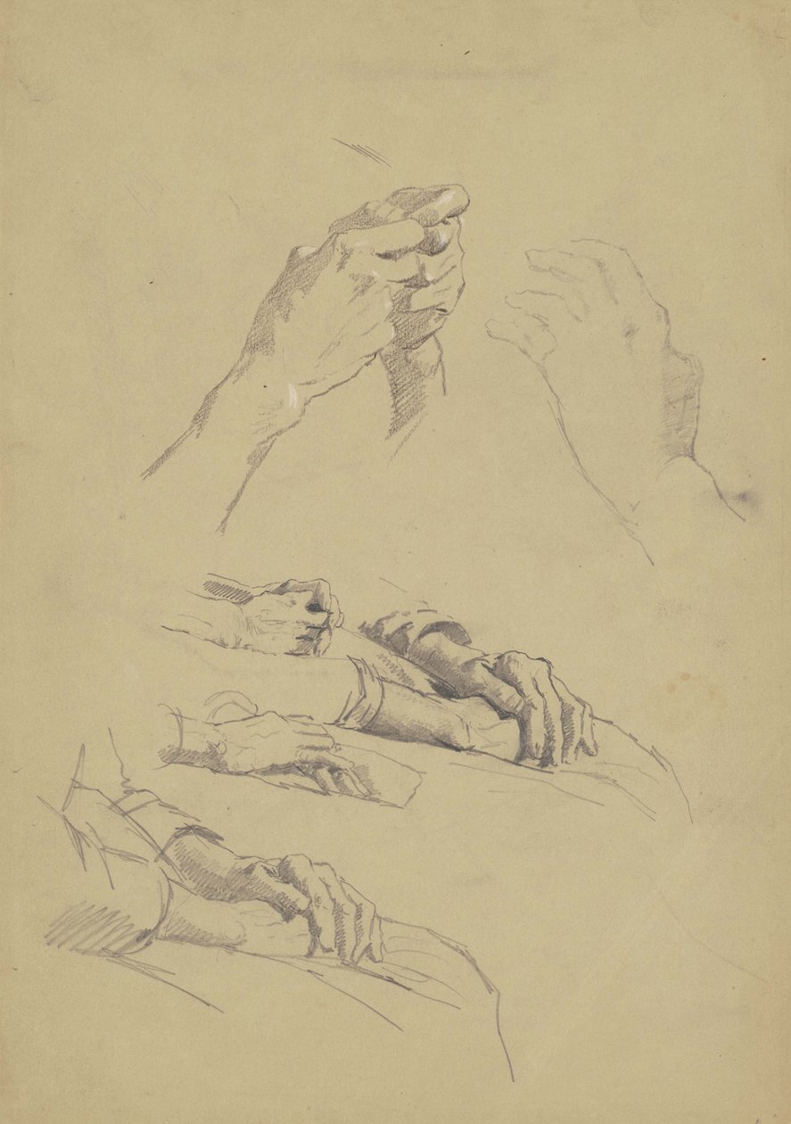 Kuusi kädentutkimusta, n.1870-90 (grafiitti ja liitu ruskealle paperiarkille). tekijältä Enoch Wood Perry