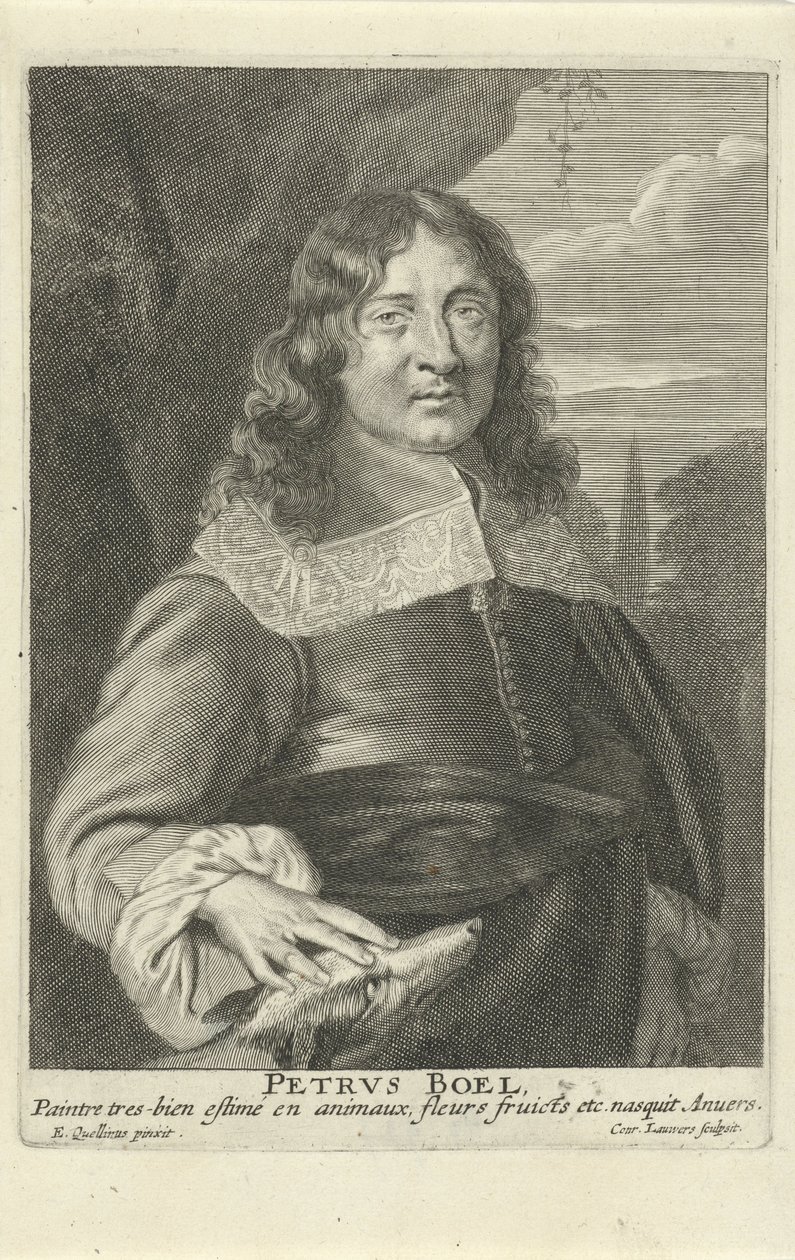 Peeter Boel, kaiverrus Conrad Lauwers, n.1649-62 (kaiverrus) tekijältä Erasmus (after) Quellinus