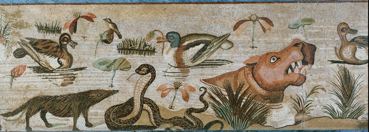 Vesieläimet ja muut eläimet tekijältä Erich Lessing