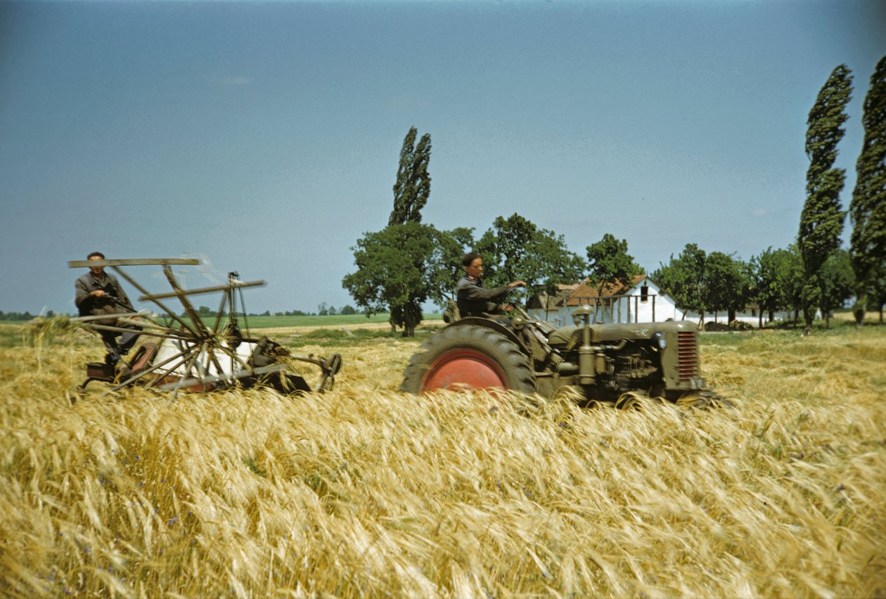  tekijältä Erich Lessing