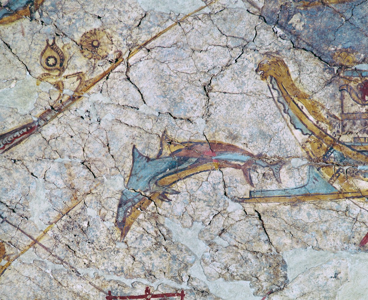 Laivan keula ja delfiini tekijältä Erich Lessing