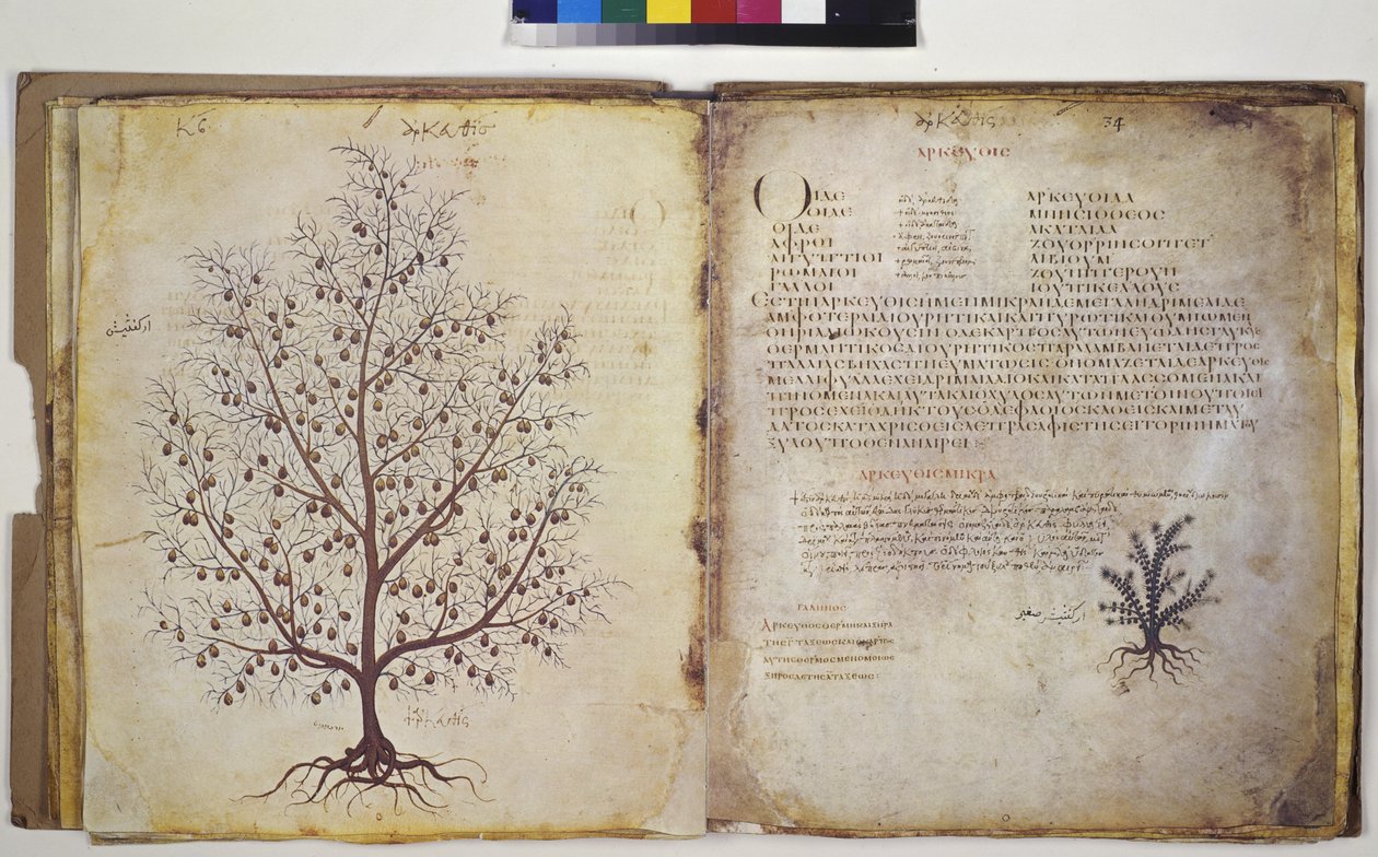 Kaksi kokonaista sivua: kasvitutkimus ja merkintä tekijältä Erich Lessing