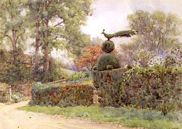 The Old Yew Hedge, Speldhurst, Kent (akvarelli) tekijältä Ernest Arthur Rowe