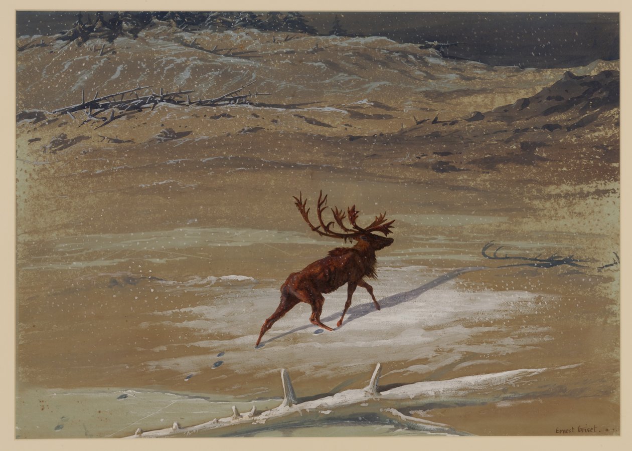 Stag, 1871 tekijältä Ernest Henry Griset