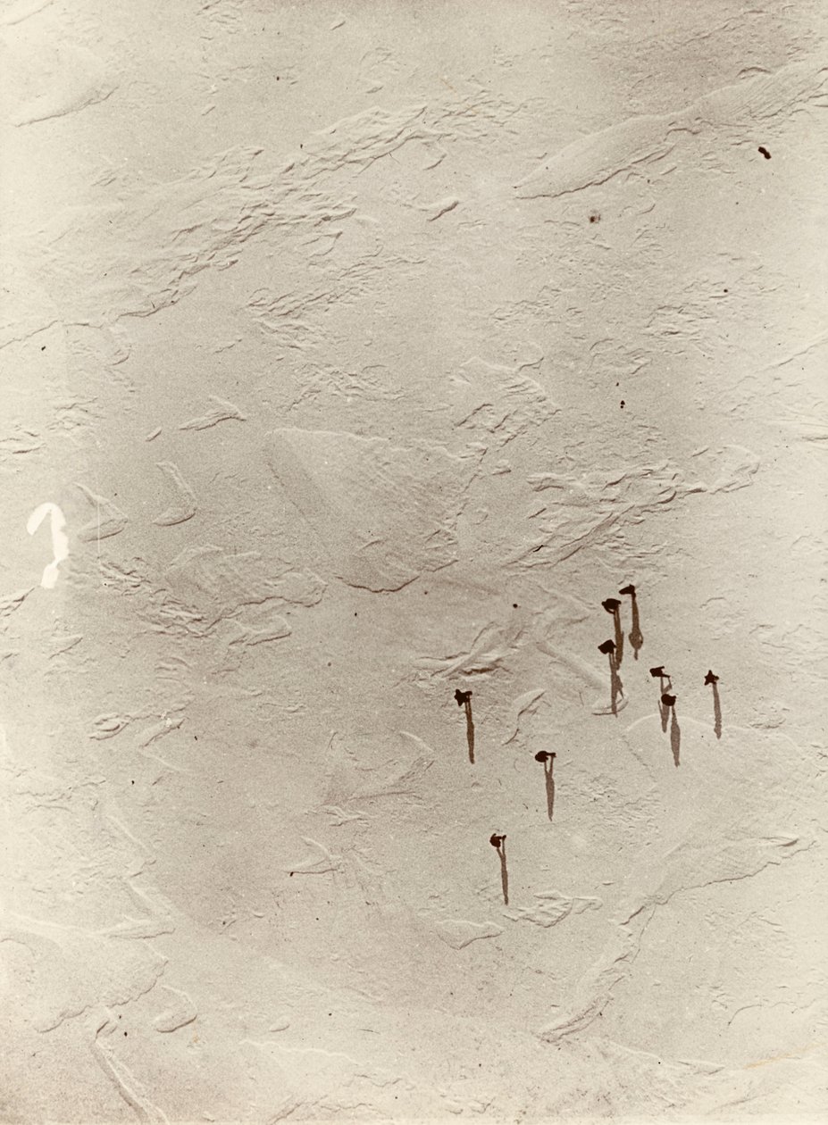 Katse alas pallosta tasangon yli kohti "Discoverya" (1901). Sir Ernest Henry Shackletonin albumista National Antarctic Expedition (1901-1903). tekijältä Ernest Henry Shackleton