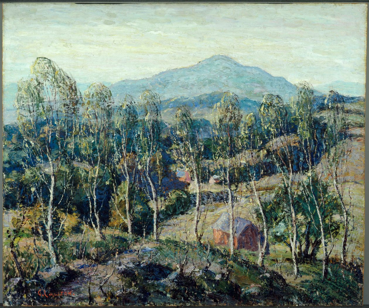 Uuden-Englannin koivuja tekijältä Ernest Lawson