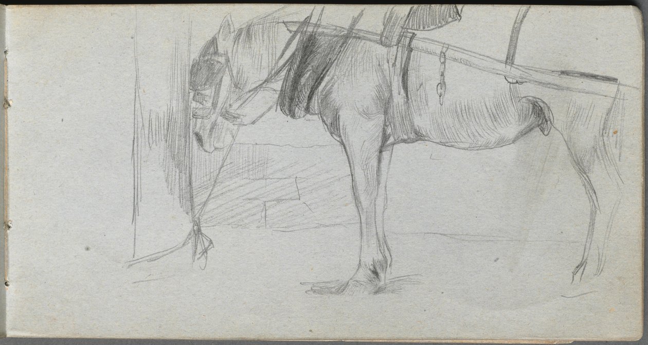 Luonnoskirja, sivu 06: Hevostutkimus. tekijältä Jean Louis Ernest Meissonier