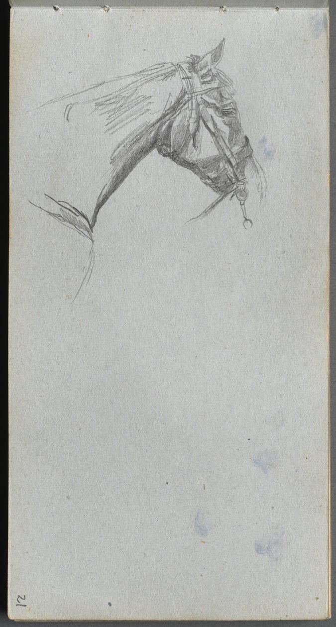Luonnoskirja, sivu 21: Hevostutkimus. tekijältä Jean Louis Ernest Meissonier