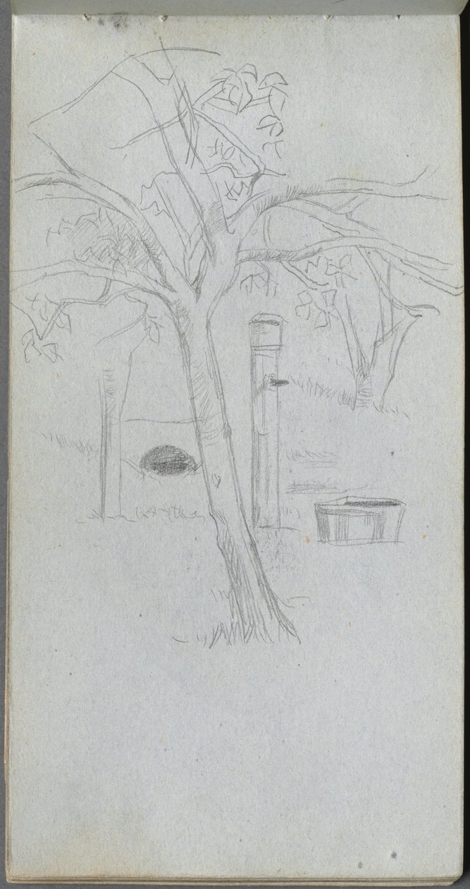 Luonnoskirja, sivu 36: Tree Study. tekijältä Jean Louis Ernest Meissonier