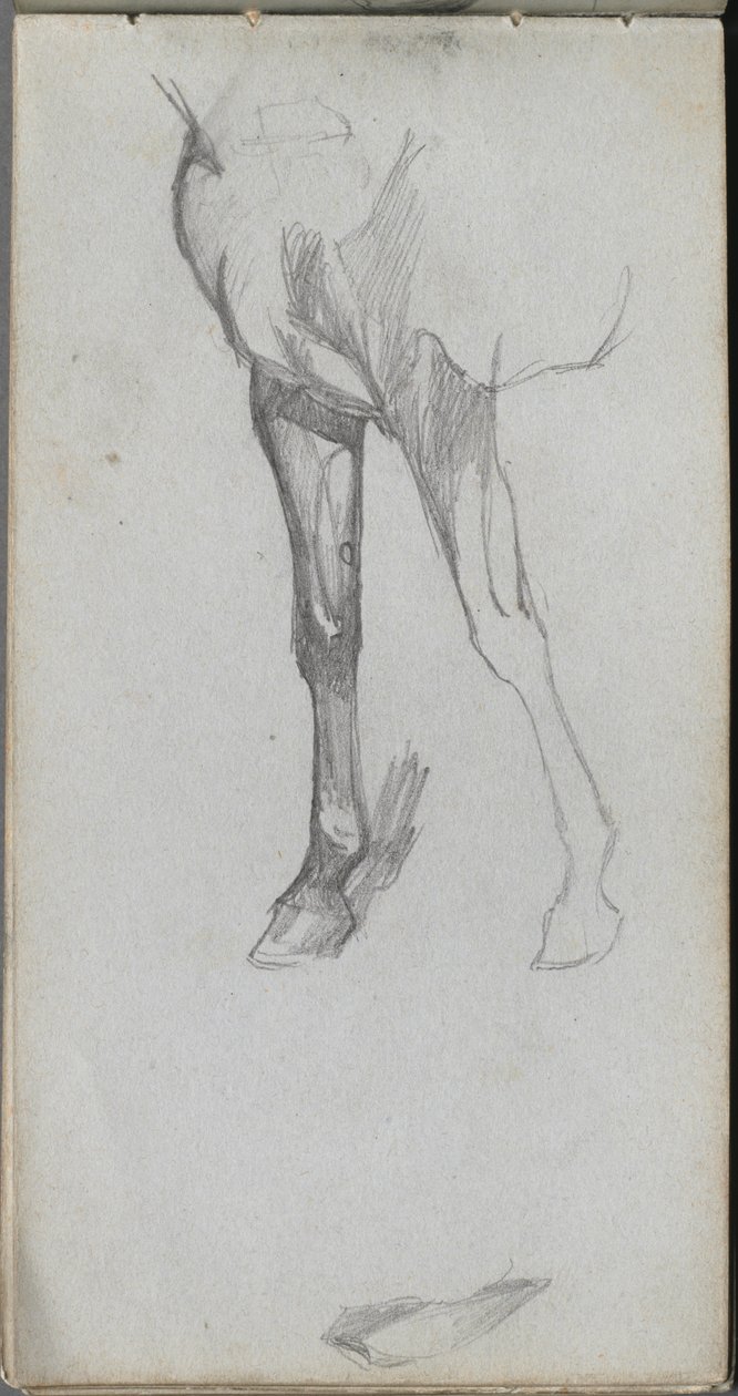 Luonnoskirja, sivu 66: Hevostutkimus. tekijältä Jean Louis Ernest Meissonier