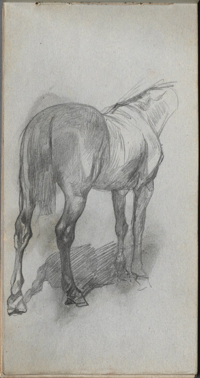Luonnoskirja, sivu 76: Hevostutkimus tekijältä Ernest Meissonier