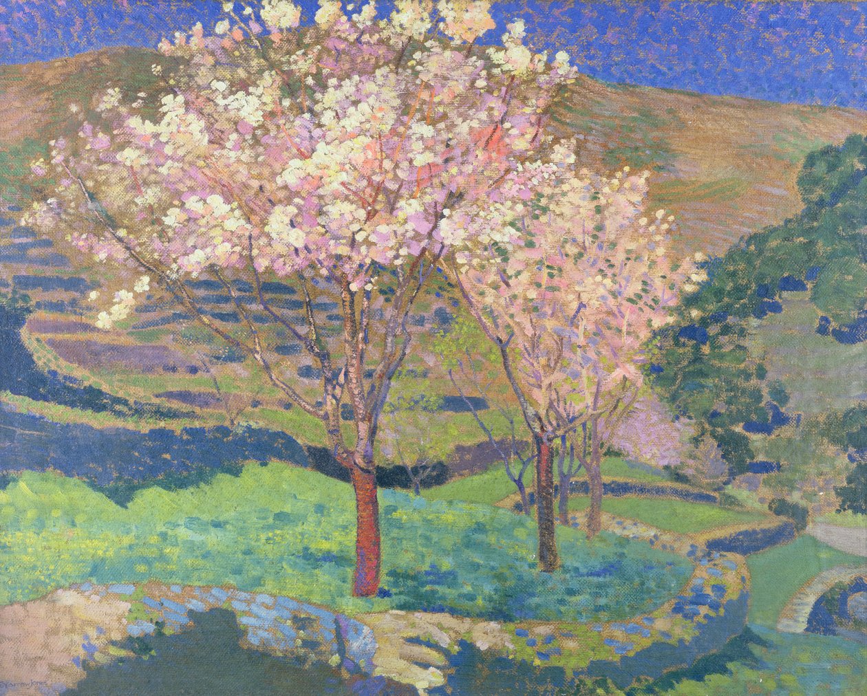 Puut kukkivat terasseilla tekijältä Ernest Yarrow-Jones