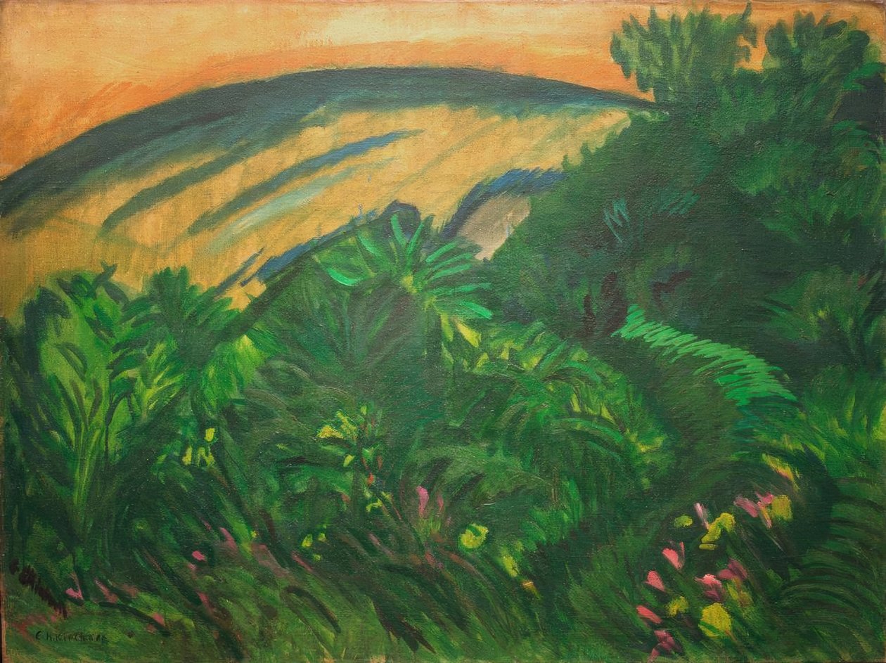 Dünen und Meer tekijältä Ernst Ludwig Kirchner