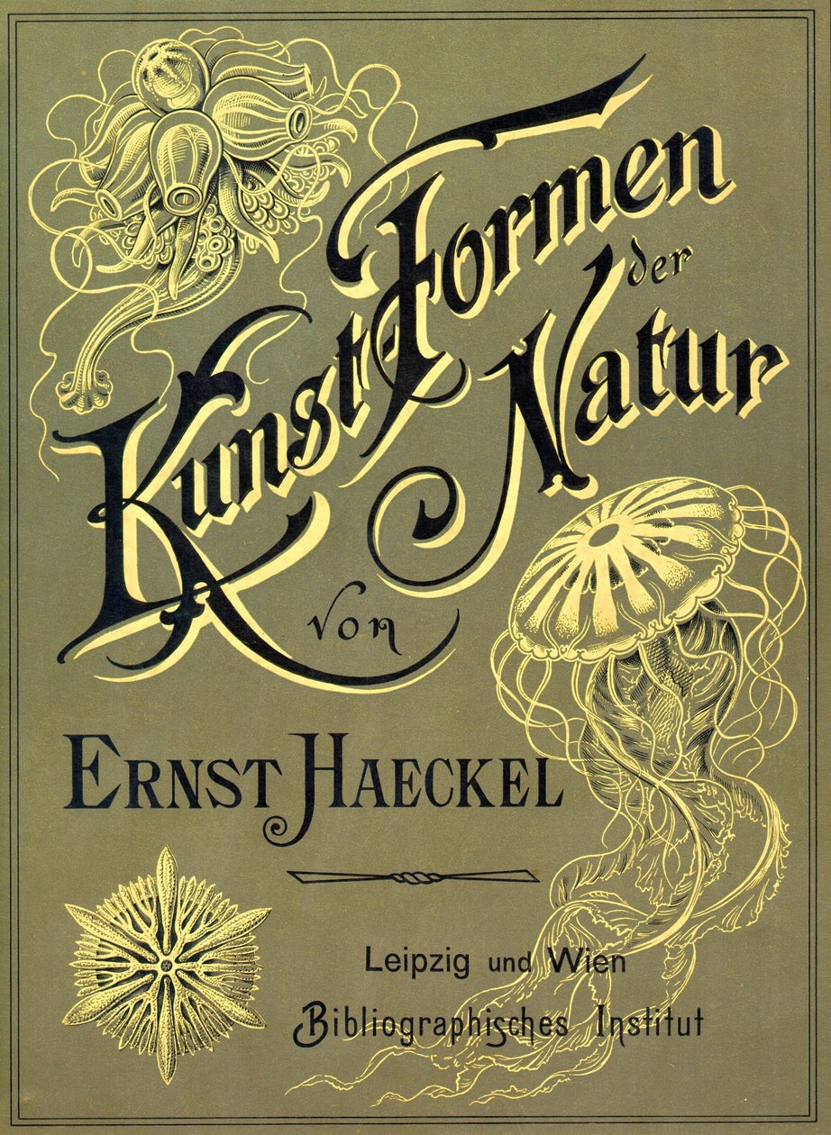 Ernst Haeckelin "Art Forms of Nature" -teoksen etukansi tekijältä Ernst (after) Haeckel