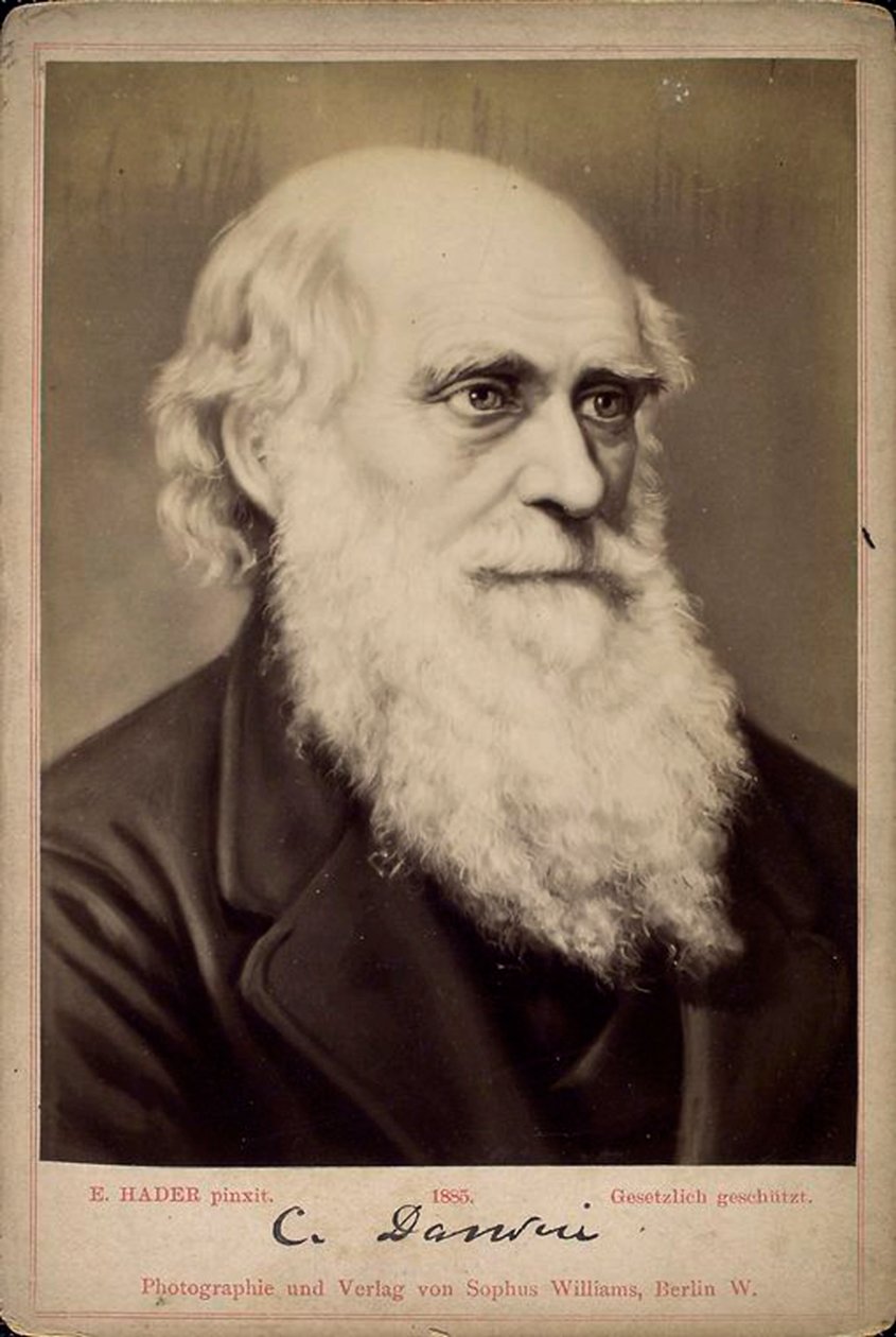 Charles Darwin, brittiläinen luonnontieteilijä, 1860-1870 tekijältä Ernst Hader