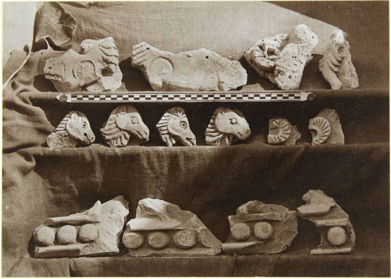 Samarran kaivaukset (Irak): Fragmentit friisistä, jossa on kamelihahmoja, Kalifin palatsista (Dar al-Khilafa, Jawsaq al-Khaqani, Bayt al-Khalifah), Pieni Serdab, n. 1911-13 (b/w) kuva) tekijältä Ernst Herzfeld