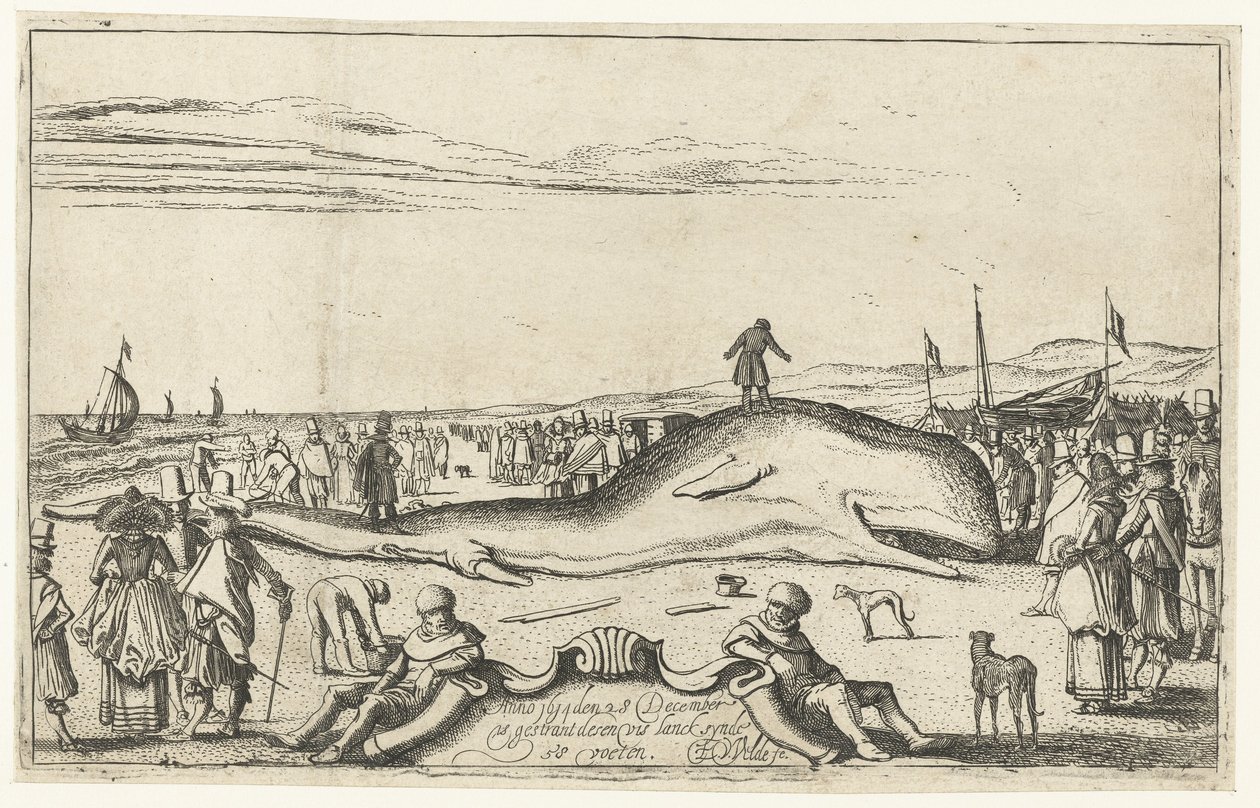 Rannalle jäänyt valas Noordwijkin rannalla, 1614 tekijältä Esaias van de Velde