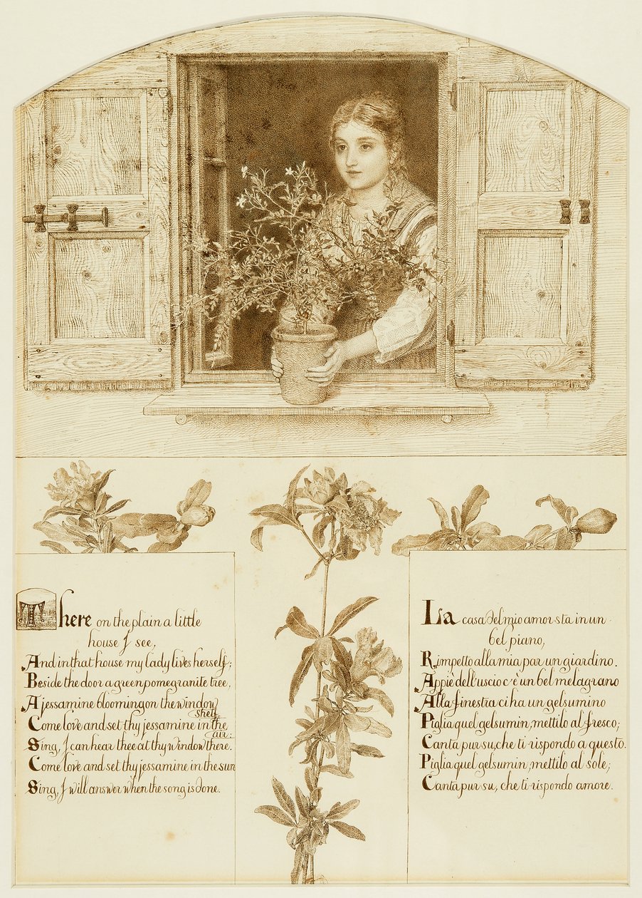Jessamine-ikkuna, joka vetää kohti "The Roadside Songs of Toscany" tekijältä Esther Frances (1837 1917) Alexander
