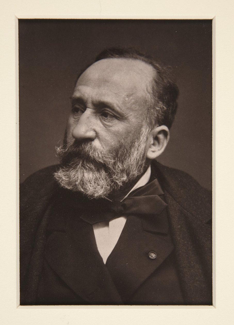 Pierre Puvis de Chavannesin muotokuva (1824-1898) tekijältä Etienne Carjat