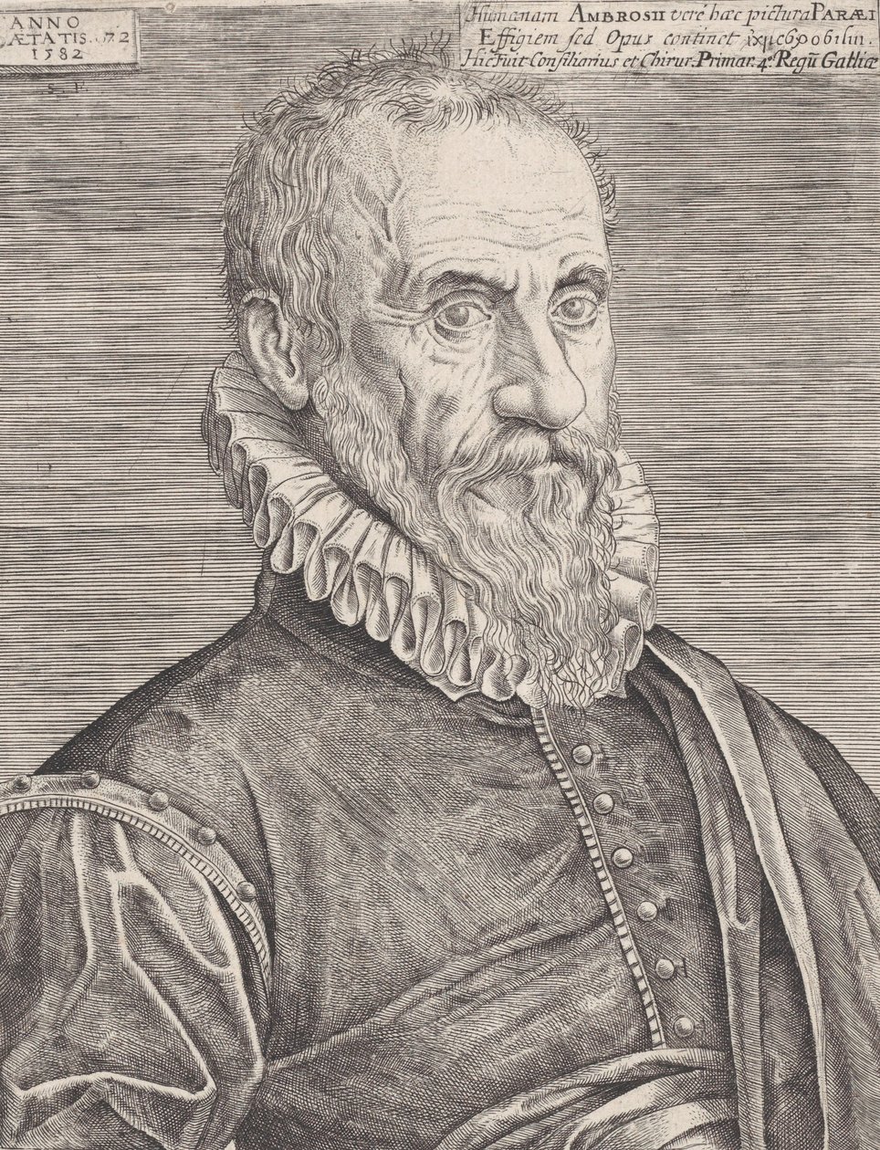 Kuninkaan kirurgin Ambroise Parén muotokuva, 1582. tekijältä Etienne Delaune