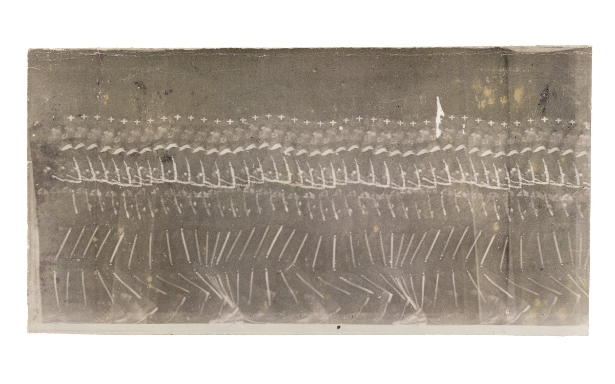 Mies kävelee, 1882 tekijältä Etienne Jules Marey
