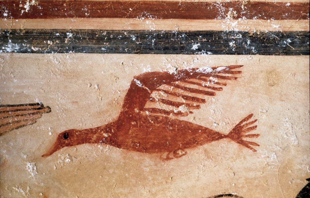 Lintu. (Freskon yksityiskohta, 530 eKr.) tekijältä Etruscan