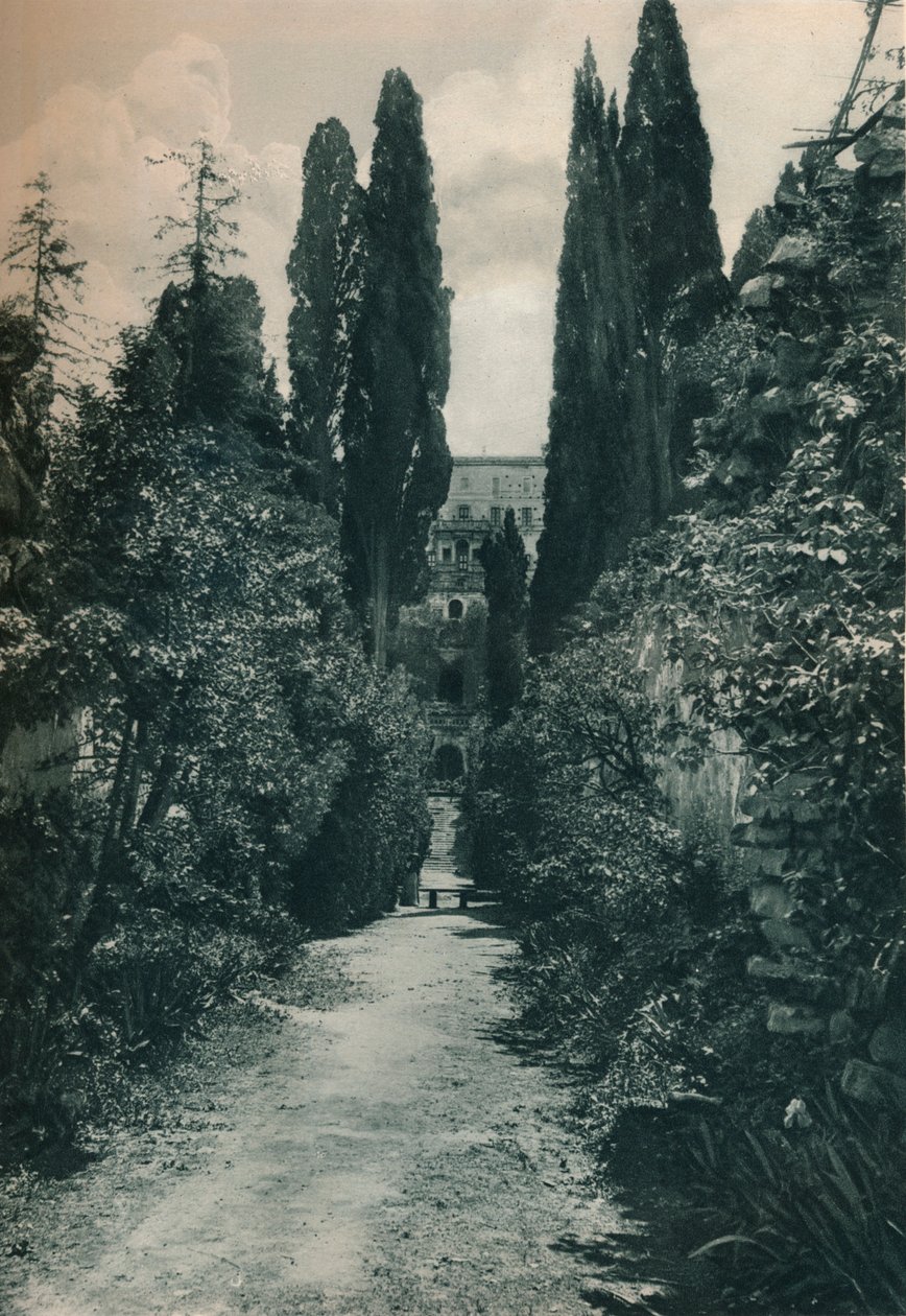 Villa d