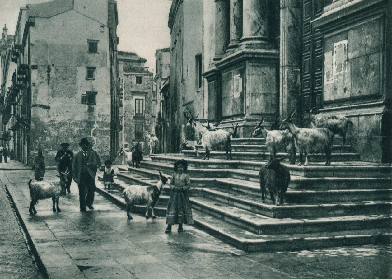 Vuohet katedraalin portailla, Palermo, Sisilia, Italia, 1927 tekijältä Eugen Poppel
