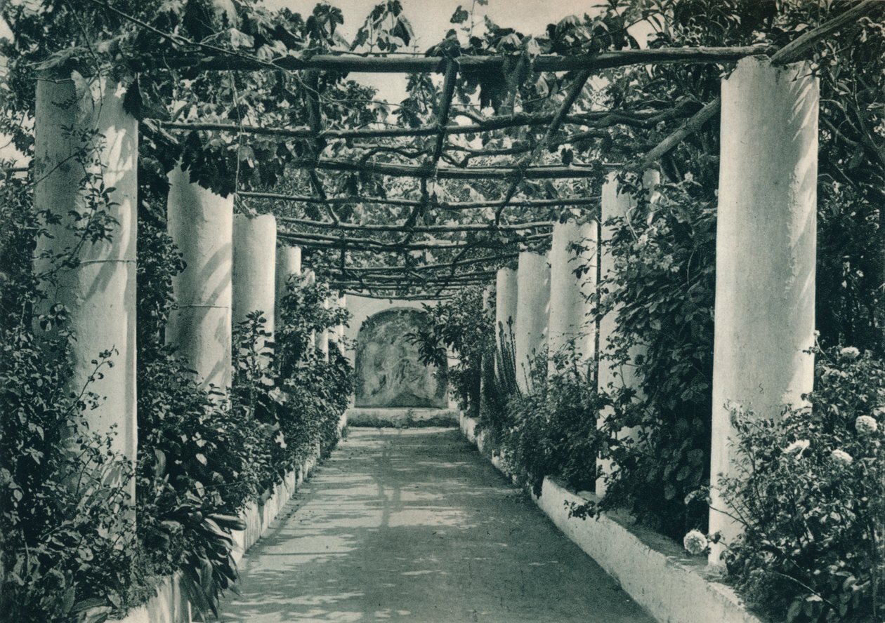 Pergola viinitarhassa, Capri, Italia, 1927 tekijältä Eugen Poppel