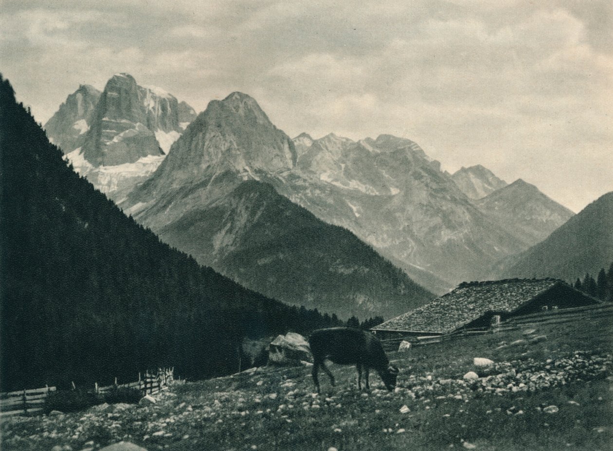 Näkymä Brenta-ryhmästä alppilaitumella, Madonna di Campiglio, Dolomiitit, Italia, 1927 tekijältä Eugen Poppel
