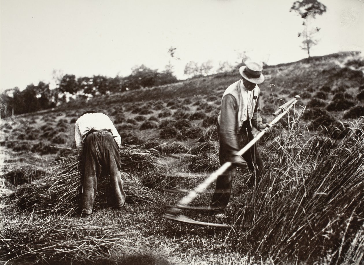 Faucheurs, Somme tekijältä Eugène Atget
